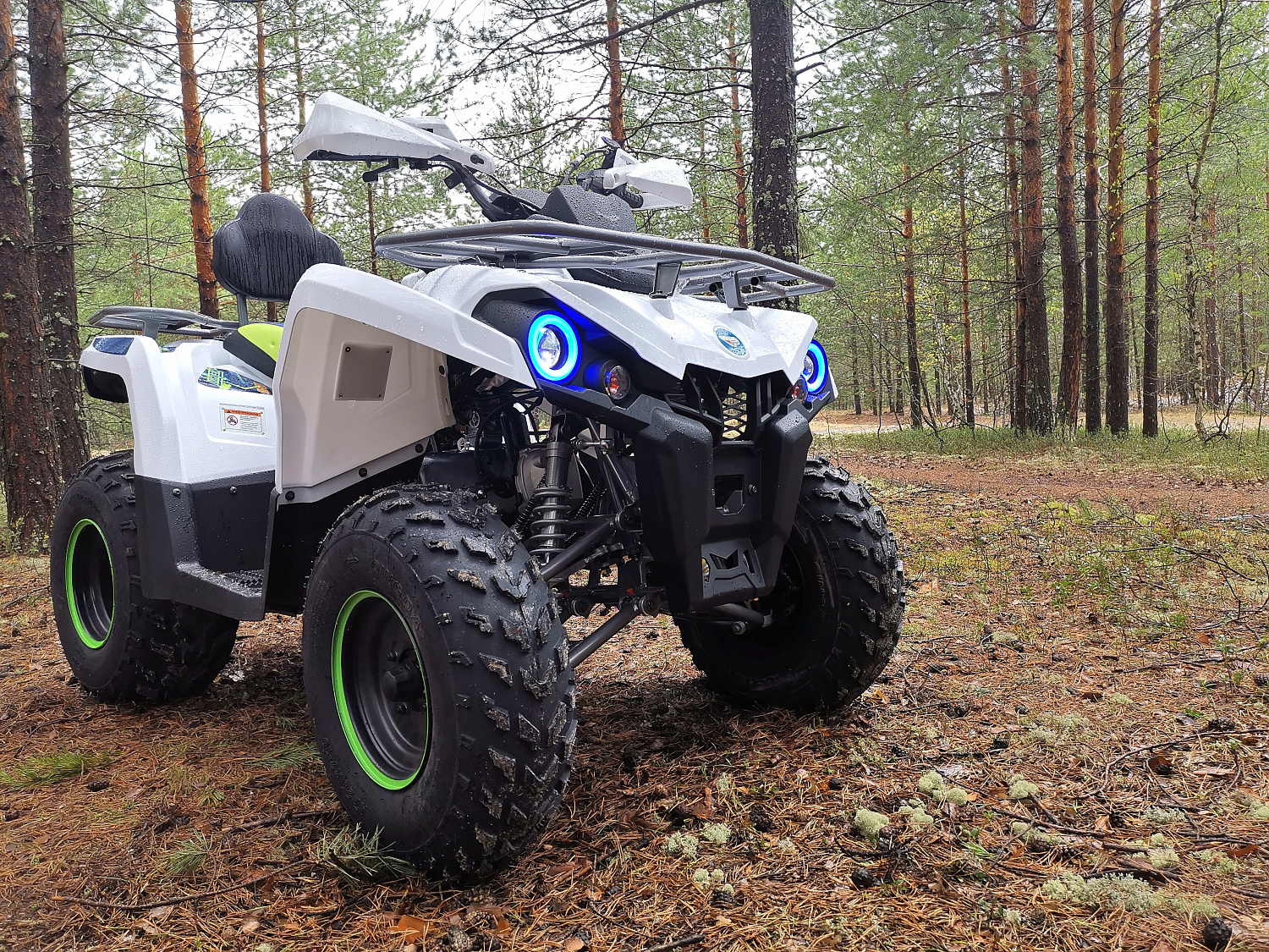 Квадроцикл PROMAX RENEGADE 280 (2025) в Электростали