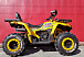 Квадроцикл PROMAX STORM 280 LUX в Электростали