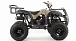 Квадроцикл MOTOLAND (МОТОЛЕНД) 200 ALL ROAD в Электростали