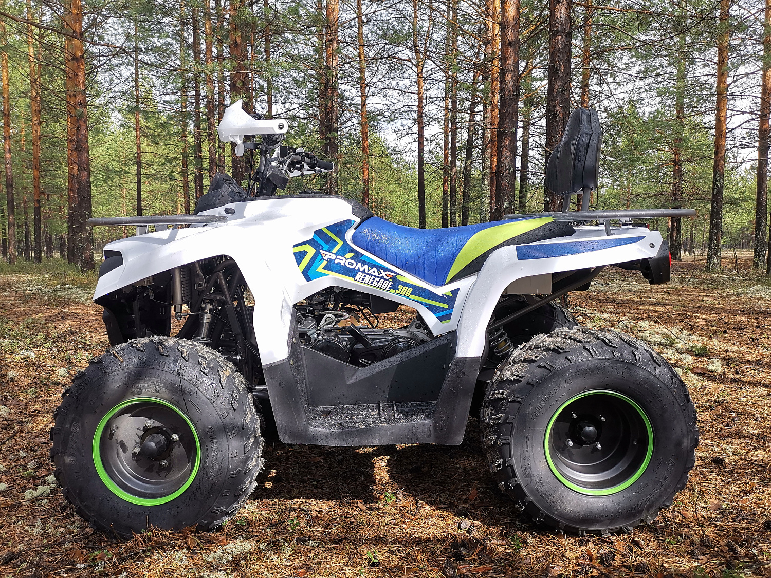 Квадроцикл PROMAX RENEGADE 280 (2025) в Электростали