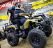 Квадроцикл PROMAX ATV 250 (2025) в Электростали