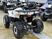 Квадроцикл PROMAX WILD 2.0 190 LUX в Электростали
