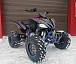 Квадроцикл PROMAX RAPTOR 300 NEW RedBull в Электростали