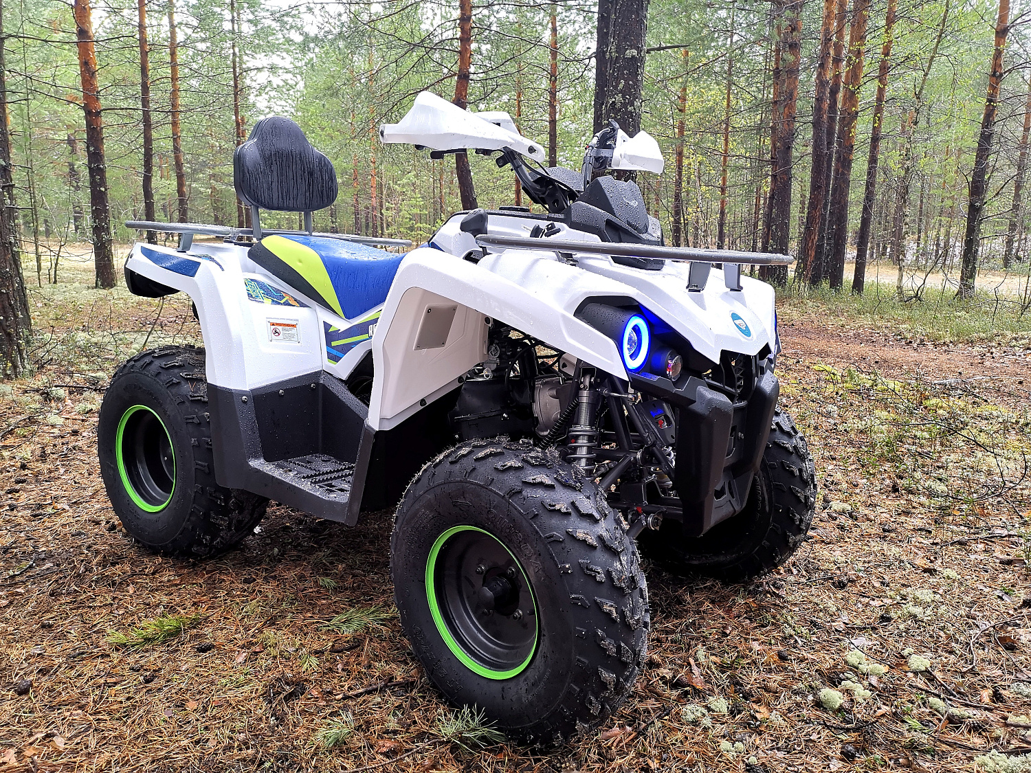 Квадроцикл PROMAX RENEGADE 280 (2025) в Электростали