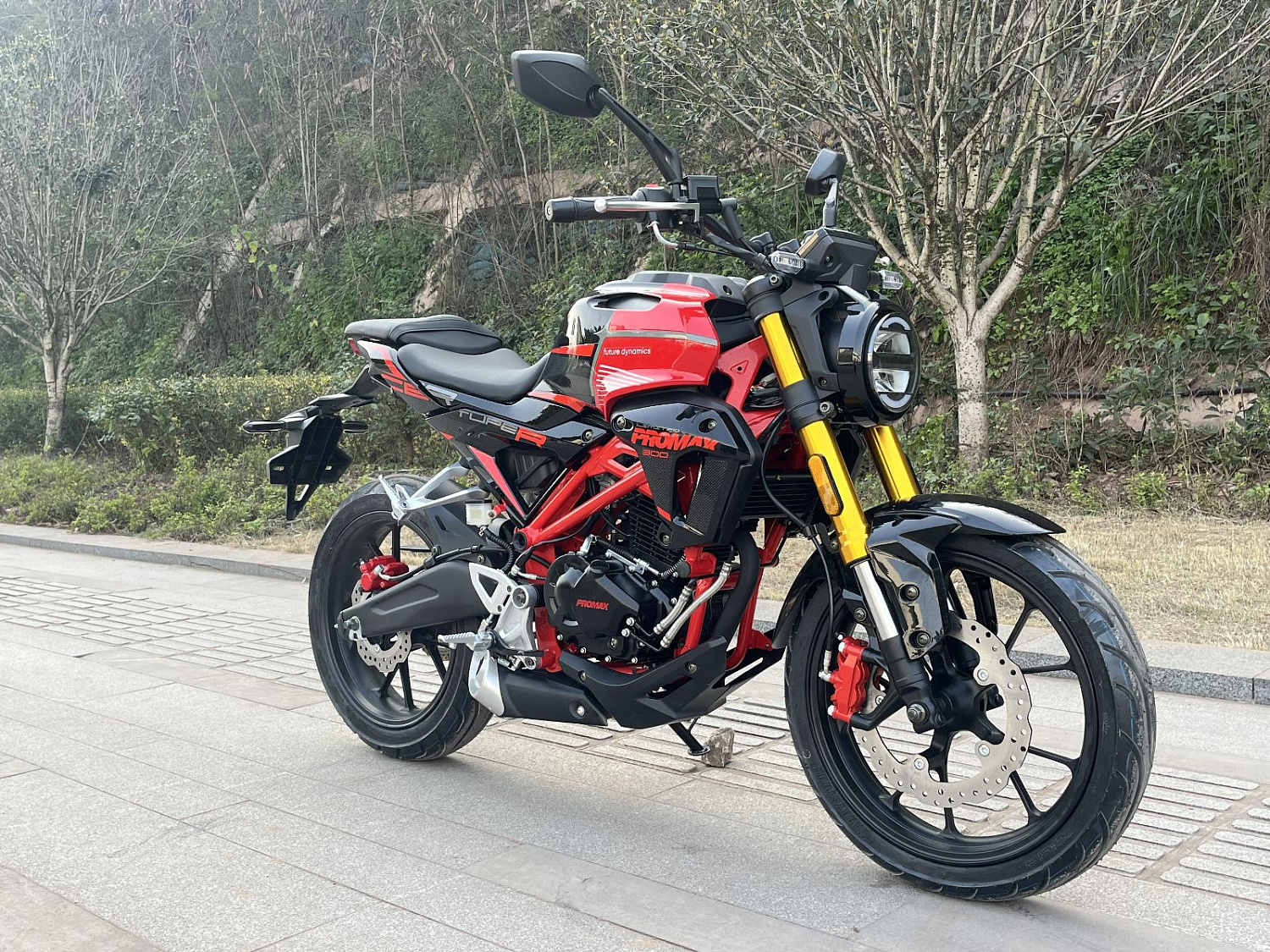 Мотоцикл PROMAX CB300RL (4V, 6G) в Электростали