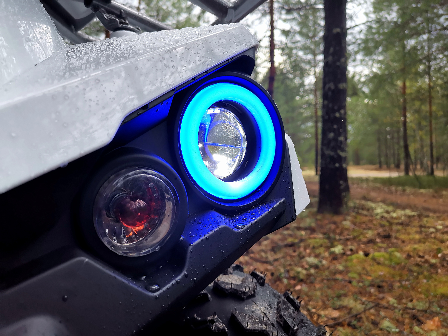 Квадроцикл PROMAX RENEGADE 280 (2025) в Электростали