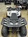 Квадроцикл PROMAX WILD 2.0 190 в Электростали