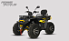 Квадроцикл PROMAX TAURUS 300 MAX-PRO LONG в Электростали